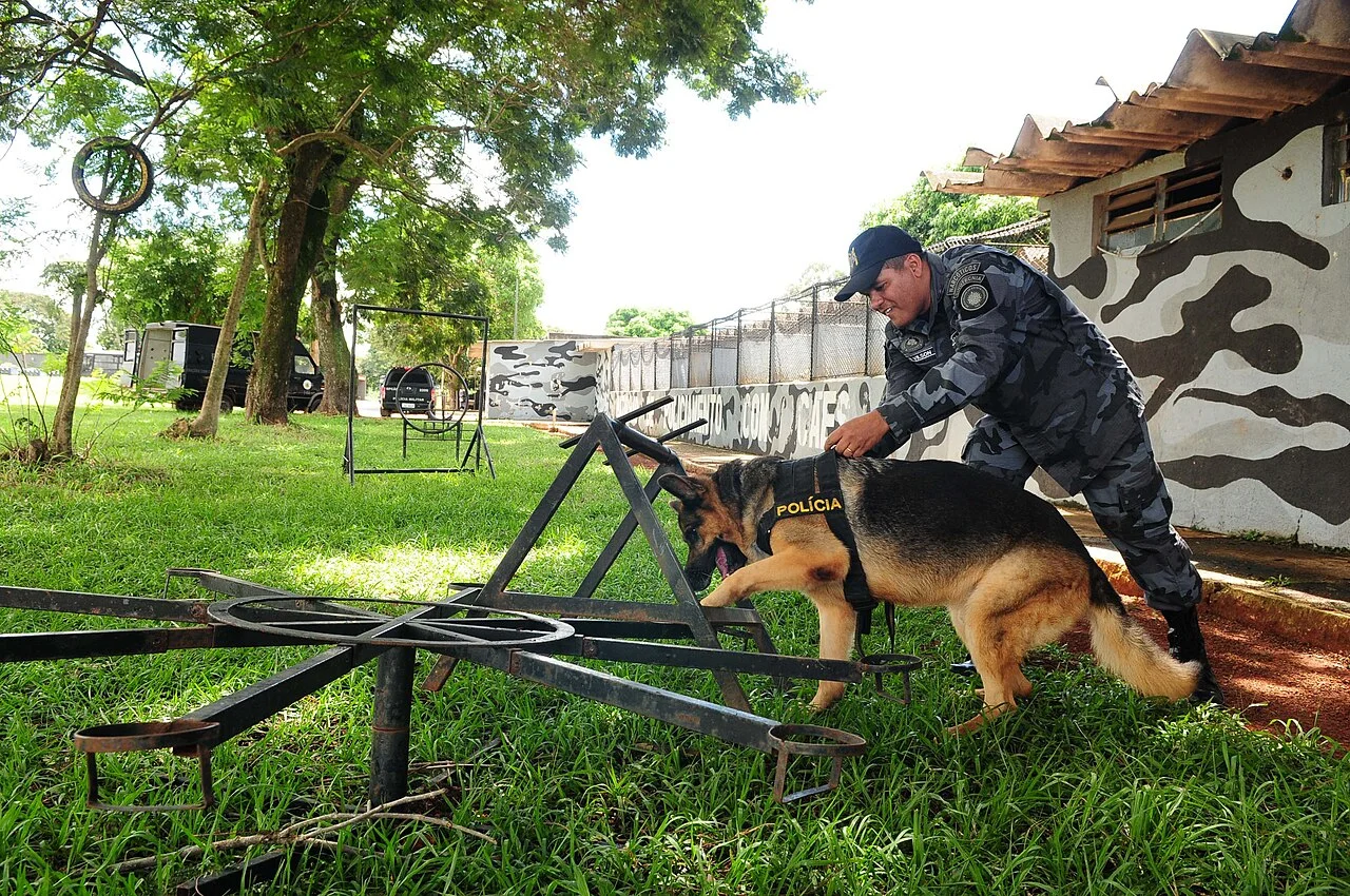 Treinamento e instrução de condicionamento operacional de forças de segurança pública