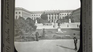 Curva do Esquecimento: O Segredo de Ebbinghaus