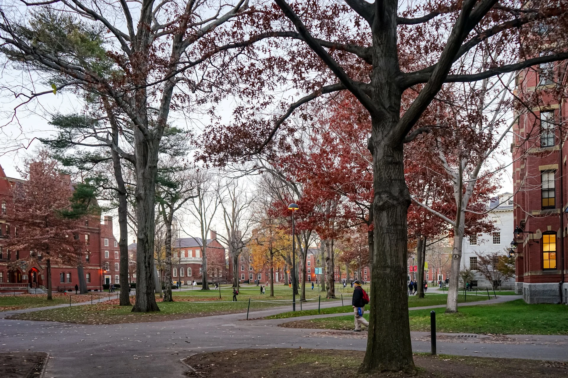 Árvores de outono e edifícios históricos de tijolos vermelhos em Harvard Yard
